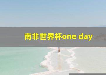 南非世界杯one day